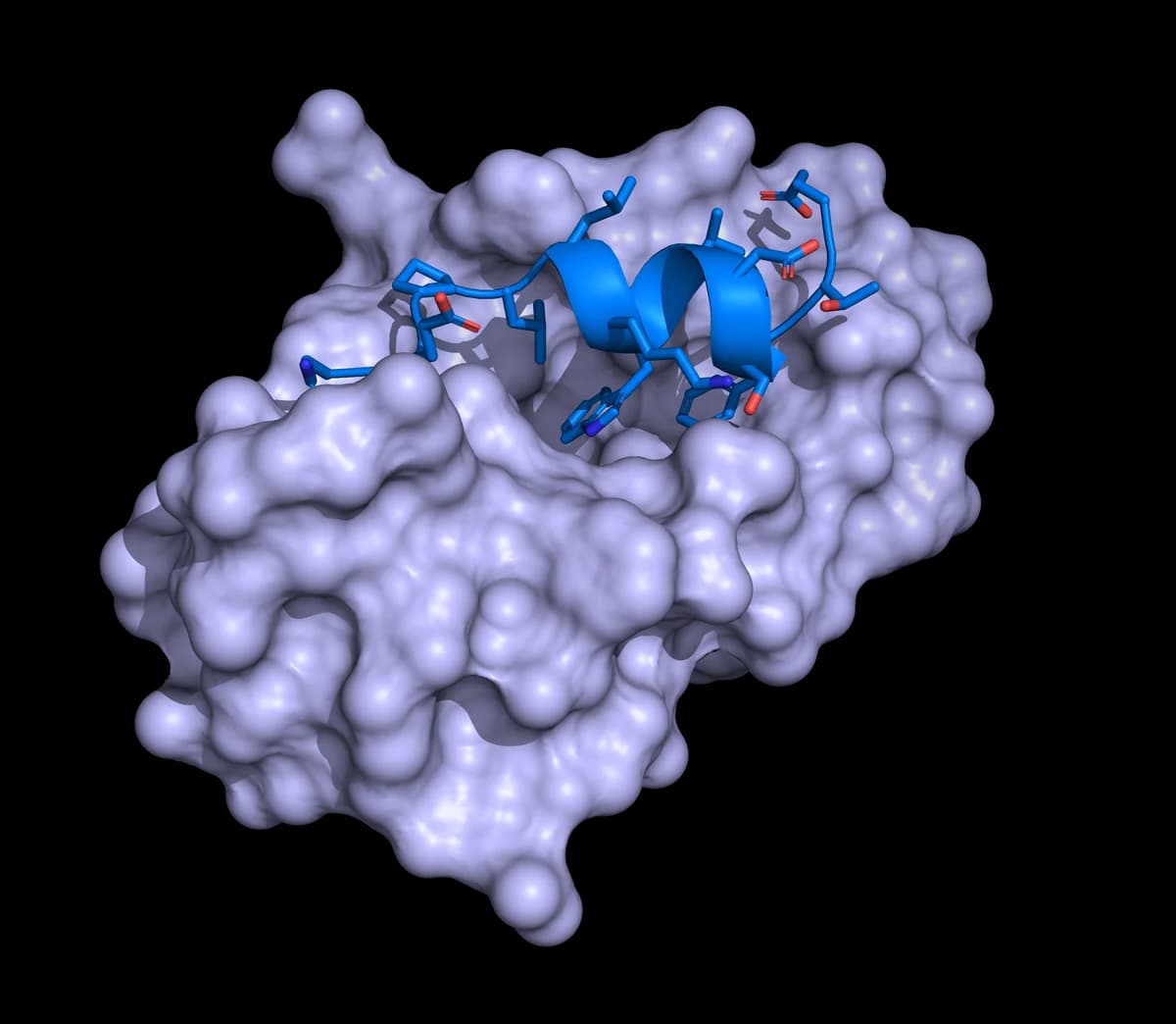 Protein–Protein Interactions